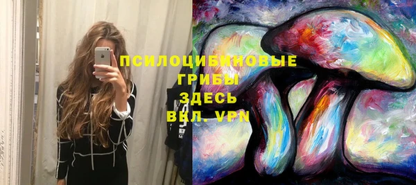 скорость mdpv Белокуриха