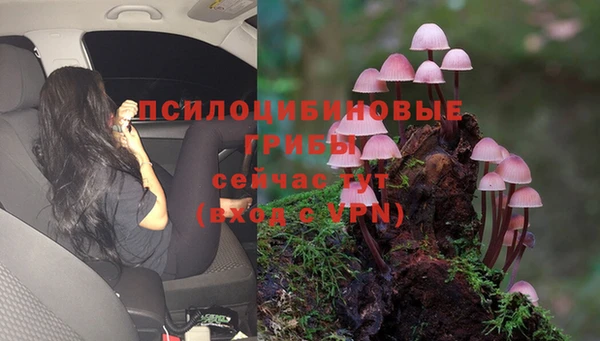 соль ск Беломорск