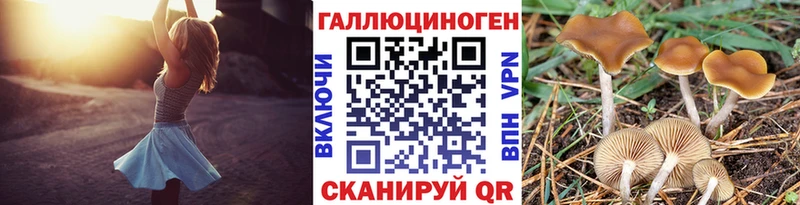 Галлюциногенные грибы прущие грибы  Купить  Полесск 